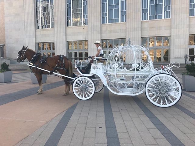 A horse drawn carriage is being pulled by two horses.