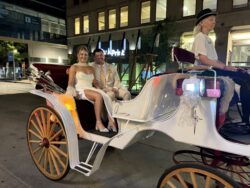 Bride and groom in horse-drawn carriage.