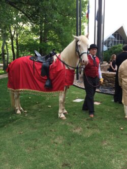 Horse with red blanket and handler outdoors.