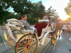 Horse-drawn carriage ride at sunset.