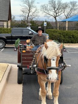 Horse-drawn carriage with driver in parking lot.