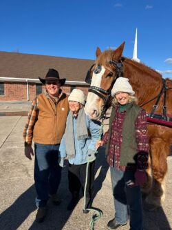 People posing with a large brown horse.