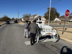 Horse-drawn carriage in suburban street scene.