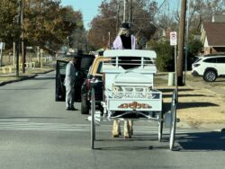 Horse-drawn carriage on suburban street.